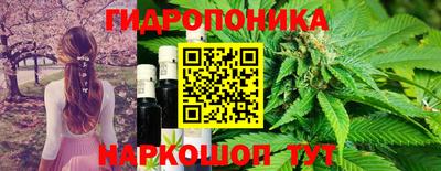 шишки Среднеуральск