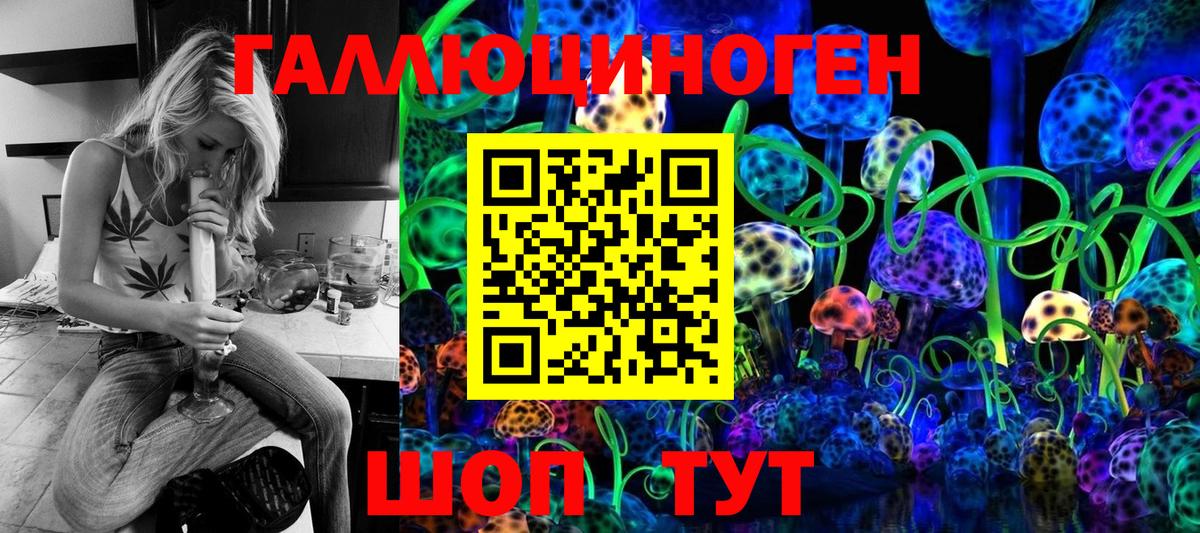 Псилоцибиновые грибы Cubensis Мурино