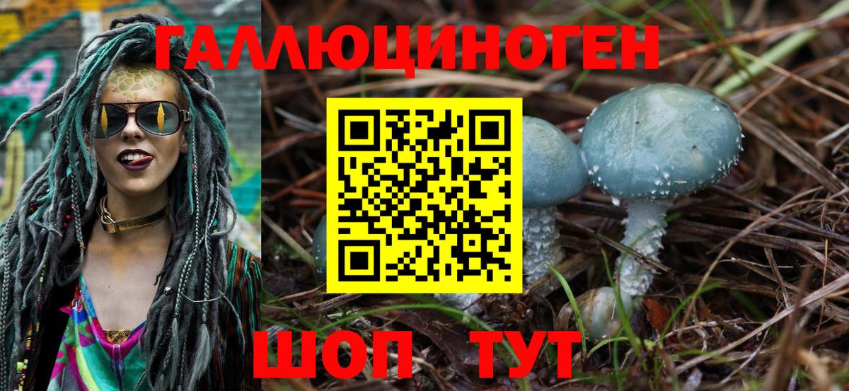 Мурино  Псилоцибиновые грибы ЛСД  купить наркотики цена  Псилоцибиновые грибы Psilocybine cubensis  Вход с VPN 